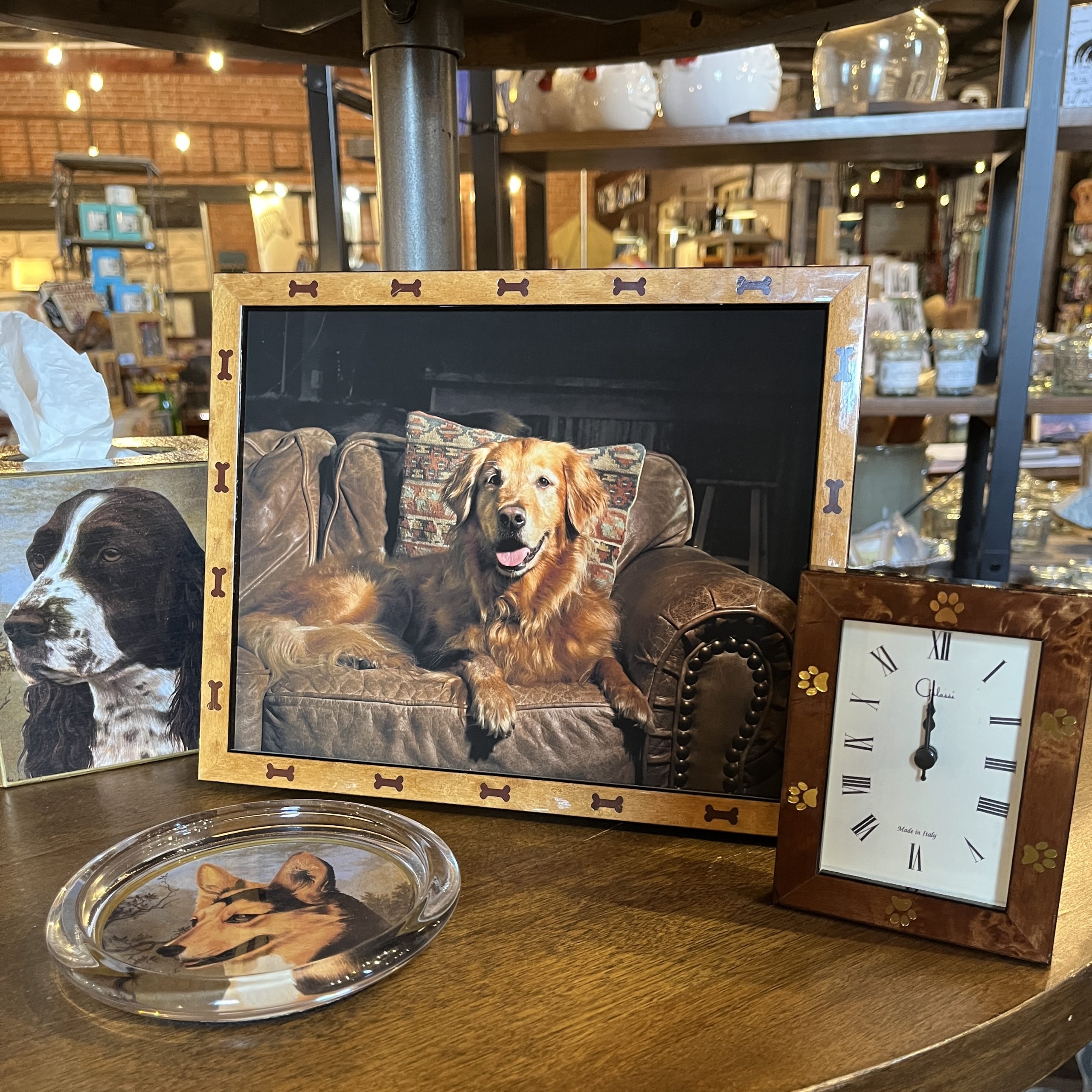Pet portrait summer offer includes a bonus for families who schedule early.